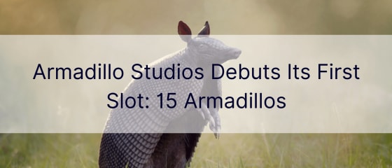 Armadillo Studios predstavlja svoj prvi termin: 15 Armadillos
